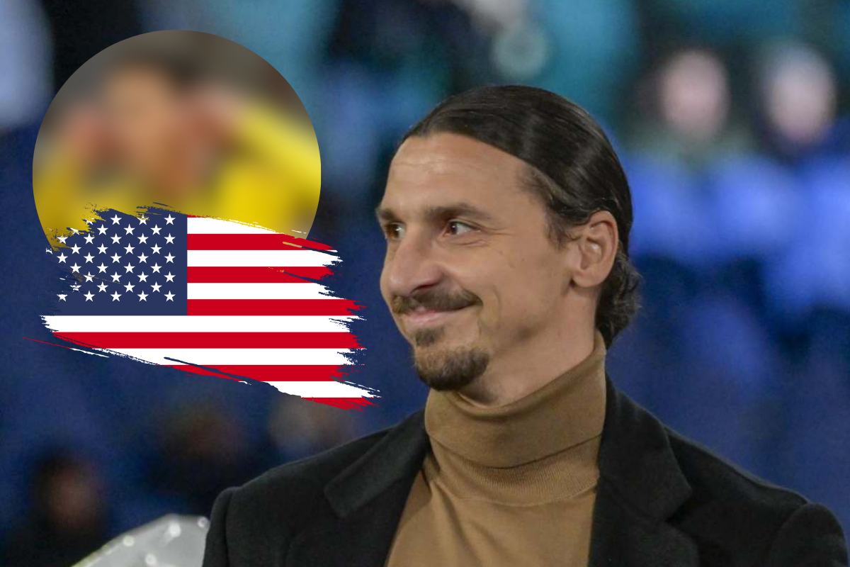 Ibrahimovic  sorride