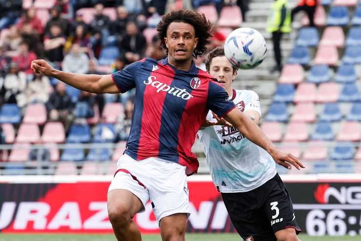 Joshua Zirkzee in azione nel Bologna di Thiago Motta