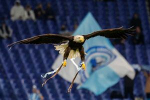 L'Aquila Olimpia, simbolo della Lazio, in volo allo stadio Olimpico